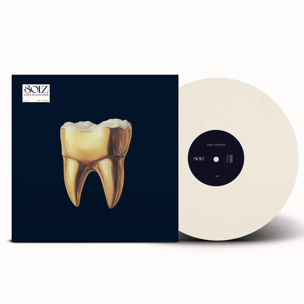 Soiz Vinyl